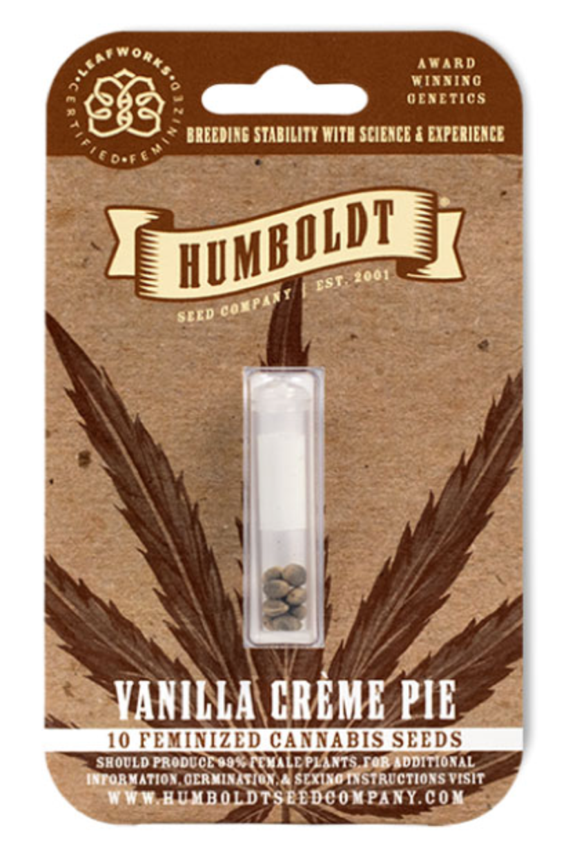 Vanilla Creme Pie Feminized Seeds 103