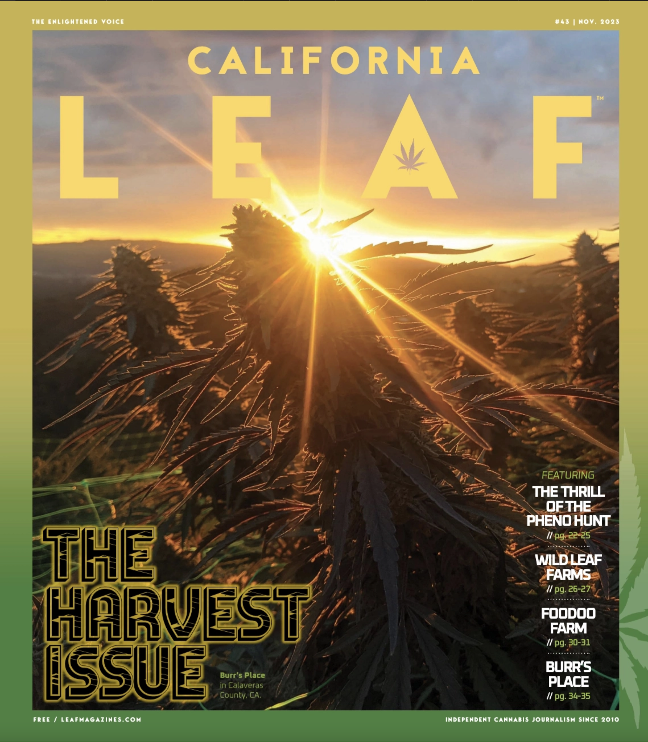 The Thrill of the Hunt- Leaf Magazine 28